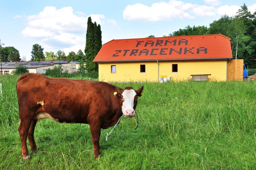 Hôtel Farma Ztracenka à Porici nad Sazavou Extérieur photo
