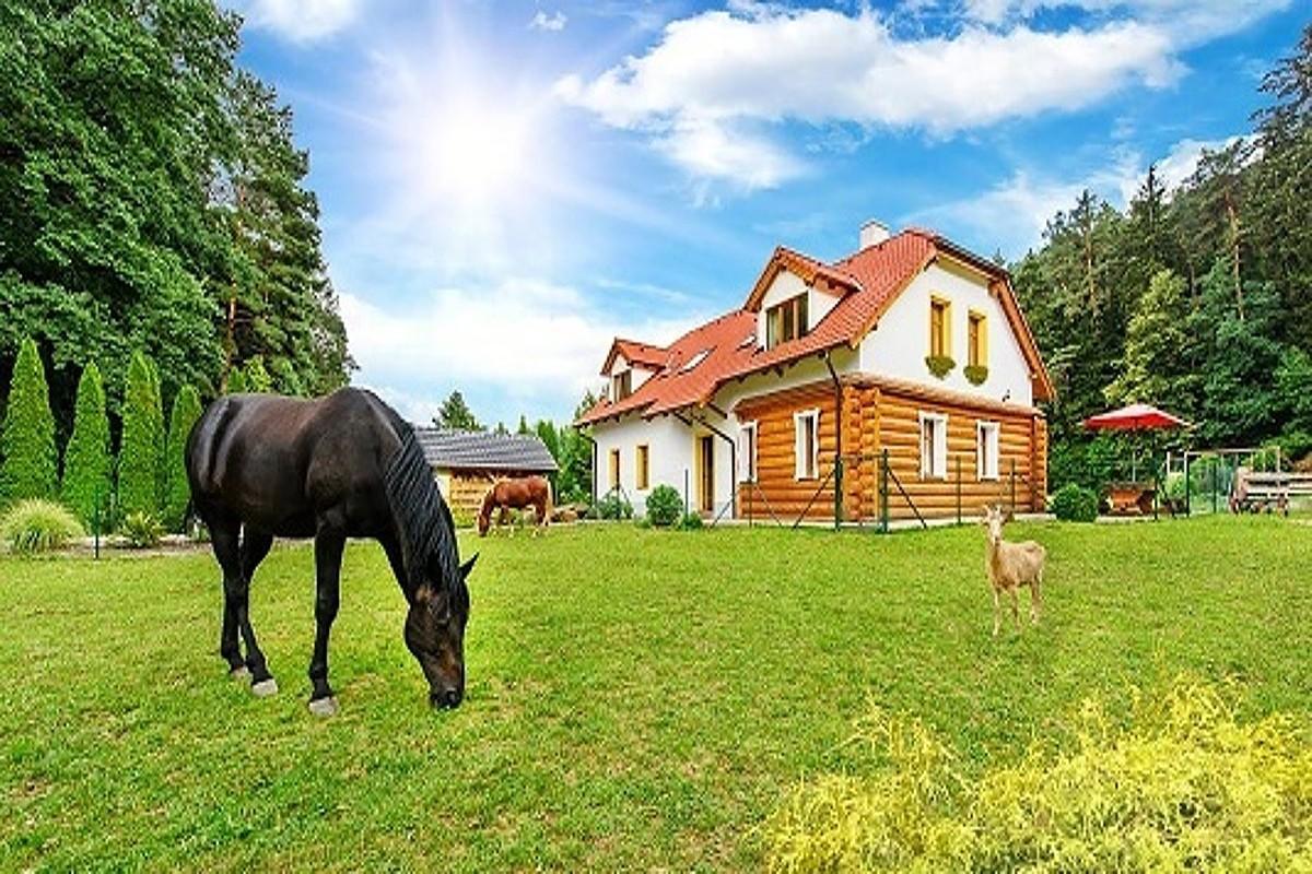 Hôtel Farma Ztracenka à Porici nad Sazavou Extérieur photo